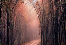 虎扑:德国杯-勒沃库森1-0凯泽斯劳滕 加冕赛季双冠王.