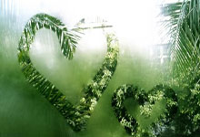 虎扑:“不拘一格降人才”——“中国足协球员自荐系统”发布.