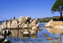 虎扑：赛车——F1中国大奖赛：排位赛赛况.